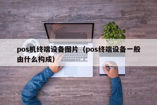 pos机终端设备图片（pos终端设备一般由什么构成）