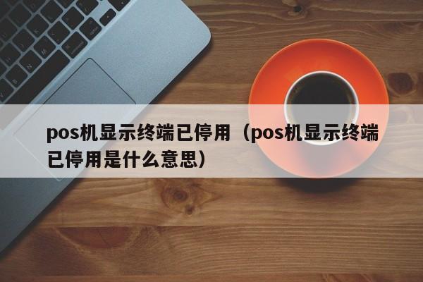 pos机显示终端已停用（pos机显示终端已停用是什么意思）