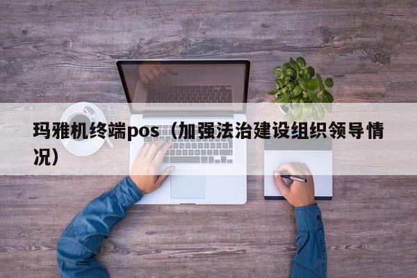 玛雅机终端pos（加强法治建设组织领导情况）