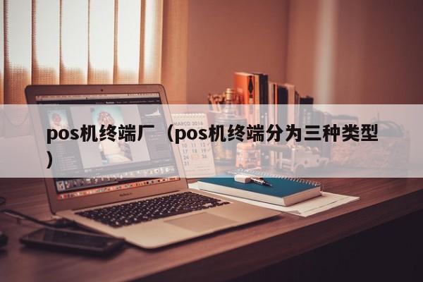 pos机终端厂（pos机终端分为三种类型）