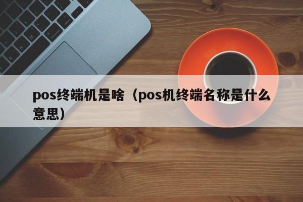 pos终端机是啥（pos机终端名称是什么意思）