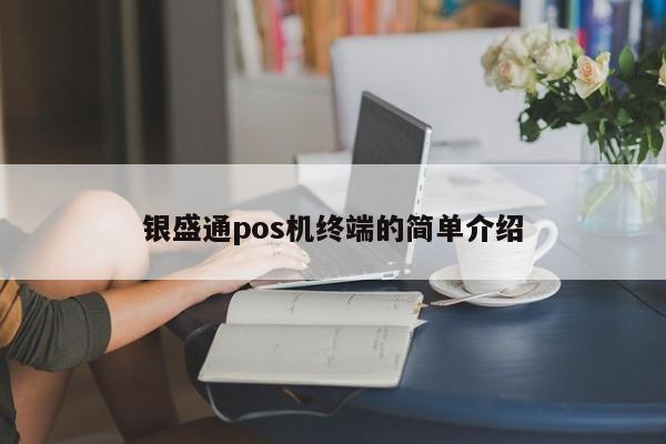 银盛通pos机终端的简单介绍