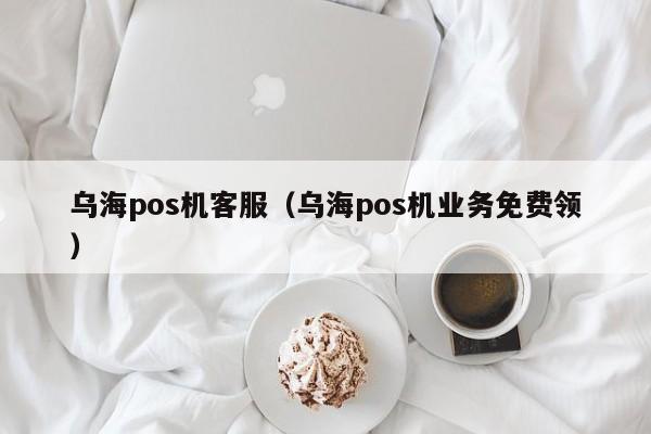乌海pos机客服（乌海pos机业务免费领）