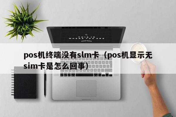 pos机终端没有slm卡（pos机显示无sim卡是怎么回事）