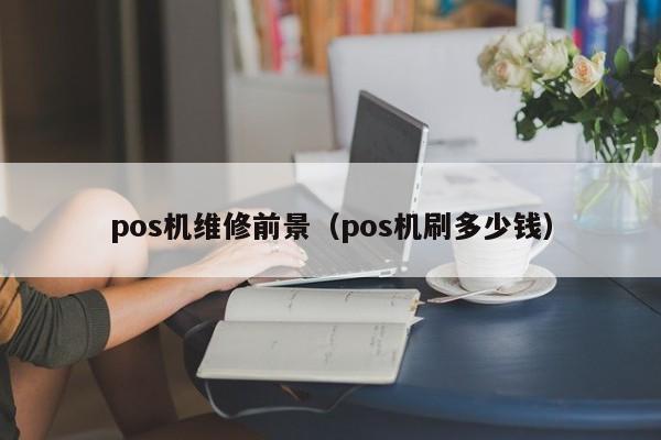 pos机维修前景（pos机刷多少钱）
