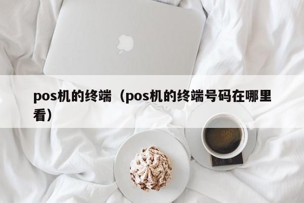 pos机的终端（pos机的终端号码在哪里看）