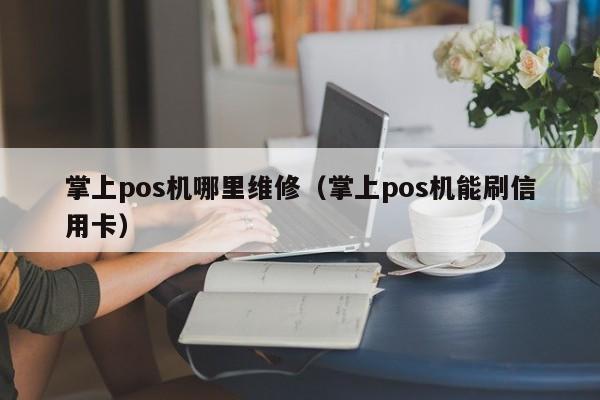 掌上pos机哪里维修（掌上pos机能刷信用卡）