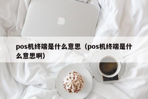 pos机终端是什么意思（pos机终端是什么意思啊）