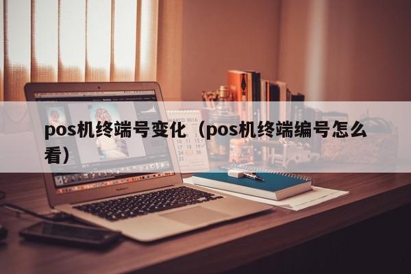 pos机终端号变化（pos机终端编号怎么看）