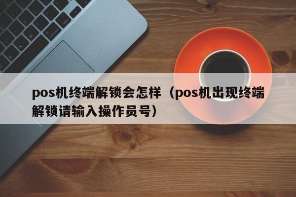 pos机终端解锁会怎样（pos机出现终端解锁请输入操作员号）