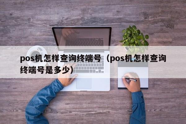 pos机怎样查询终端号（pos机怎样查询终端号是多少）