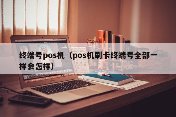 终端号pos机（pos机刷卡终端号全部一样会怎样）