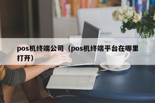 pos机终端公司（pos机终端平台在哪里打开）