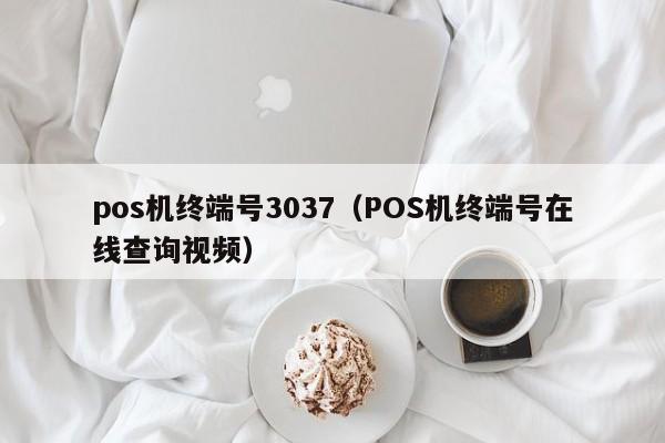 pos机终端号3037（POS机终端号在线查询视频）