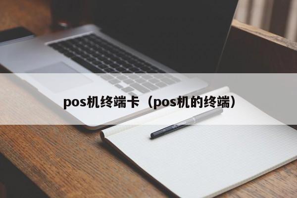 pos机终端卡（pos机的终端）