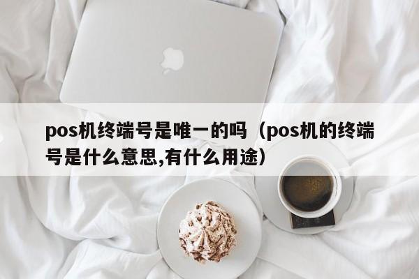pos机终端号是唯一的吗（pos机的终端号是什么意思,有什么用途）