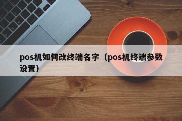 pos机如何改终端名字（pos机终端参数设置）