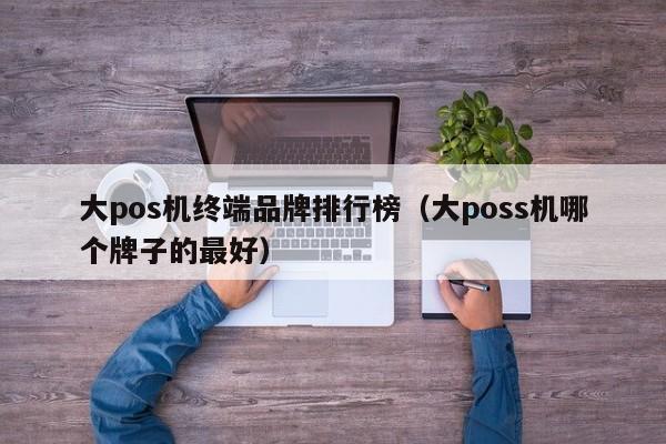 大pos机终端品牌排行榜（大poss机哪个牌子的最好）