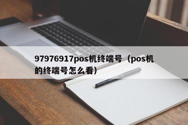 97976917pos机终端号（pos机的终端号怎么看）