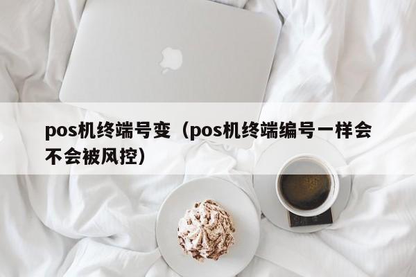 pos机终端号变（pos机终端编号一样会不会被风控）