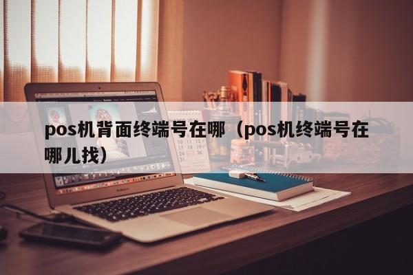 pos机背面终端号在哪（pos机终端号在哪儿找）