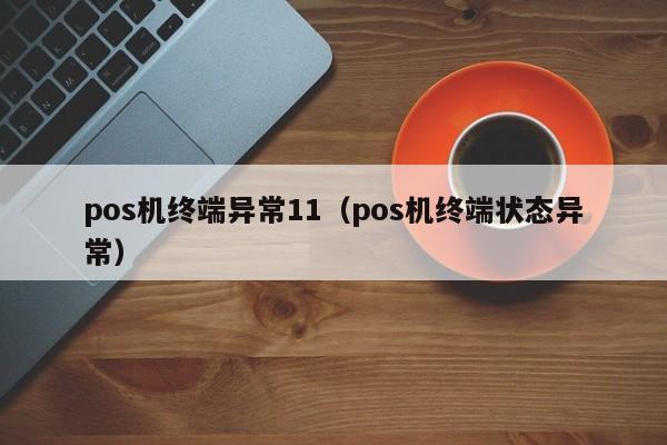 pos机终端异常11（pos机终端状态异常）