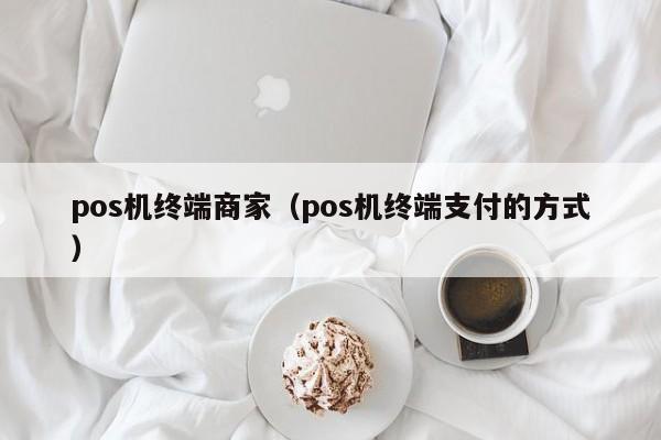 pos机终端商家（pos机终端支付的方式）