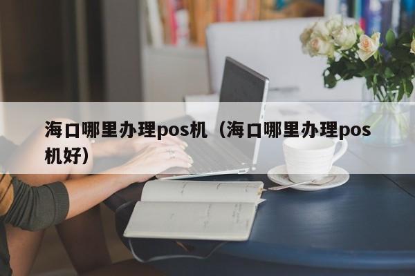海口哪里办理pos机（海口哪里办理pos机好）