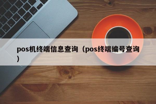 pos机终端信息查询（pos终端编号查询）