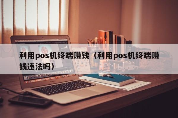利用pos机终端赚钱（利用pos机终端赚钱违法吗）
