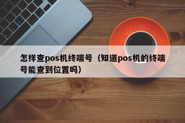 怎样查pos机终端号（知道pos机的终端号能查到位置吗）