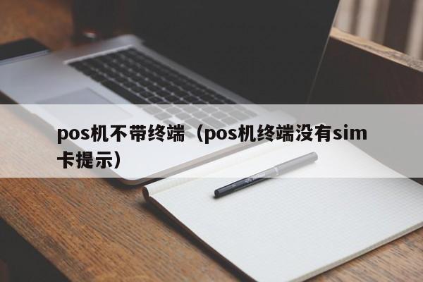 pos机不带终端（pos机终端没有sim卡提示）