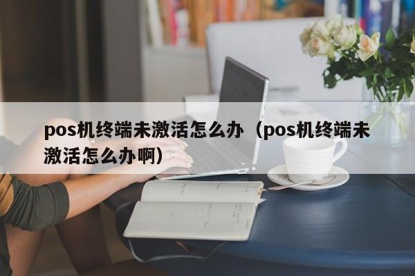 pos机终端未激活怎么办（pos机终端未激活怎么办啊）