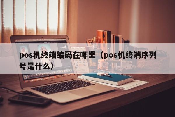 pos机终端编码在哪里（pos机终端序列号是什么）