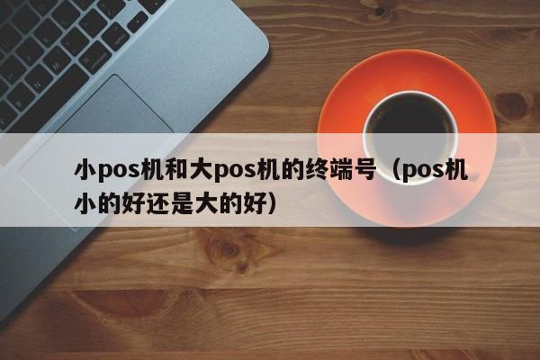 小pos机和大pos机的终端号（pos机小的好还是大的好）