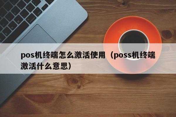 pos机终端怎么激活使用（poss机终端激活什么意思）