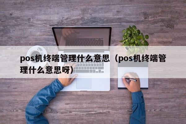 pos机终端管理什么意思（pos机终端管理什么意思呀）