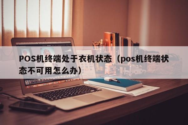 POS机终端处于衣机状态（pos机终端状态不可用怎么办）