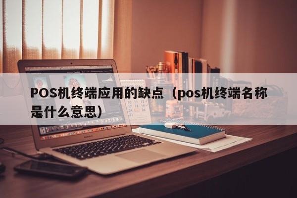 POS机终端应用的缺点（pos机终端名称是什么意思）