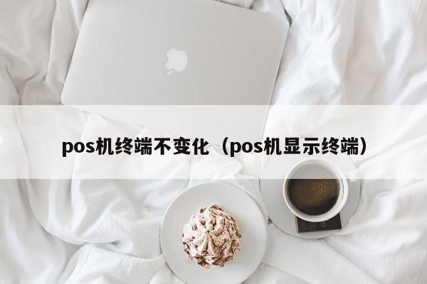pos机终端不变化（pos机显示终端）