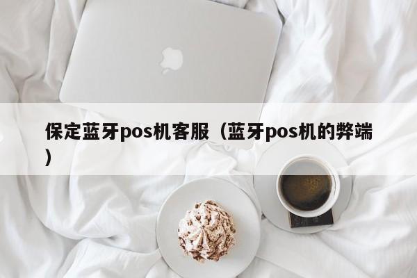 保定蓝牙pos机客服（蓝牙pos机的弊端）