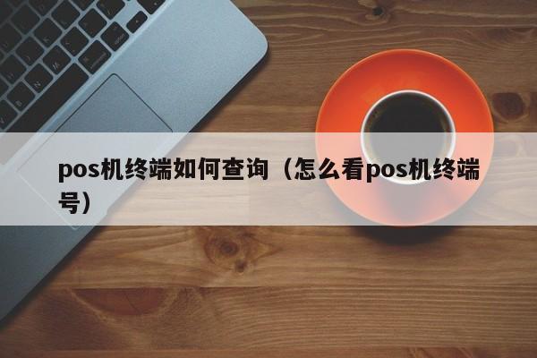 pos机终端如何查询（怎么看pos机终端号）