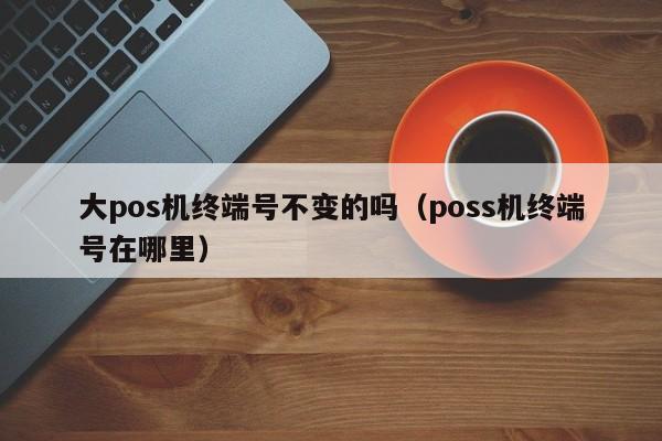 大pos机终端号不变的吗（poss机终端号在哪里）