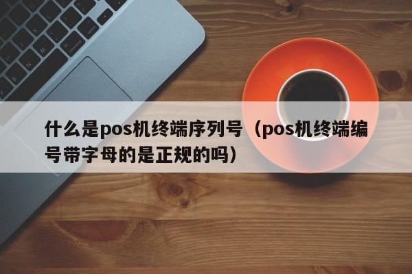 什么是pos机终端序列号（pos机终端编号带字母的是正规的吗）