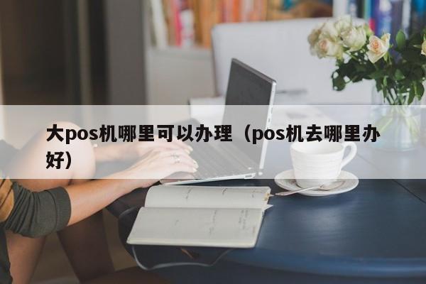 大pos机哪里可以办理（pos机去哪里办好）
