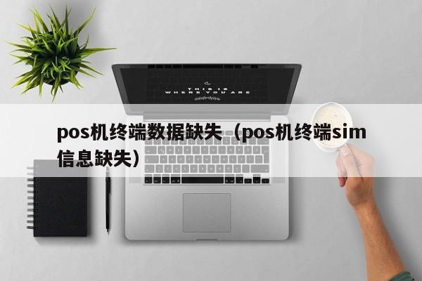 pos机终端数据缺失（pos机终端sim信息缺失）