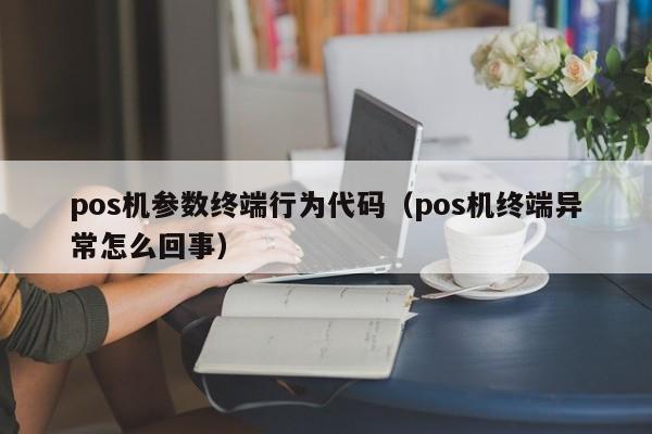 pos机参数终端行为代码（pos机终端异常怎么回事）