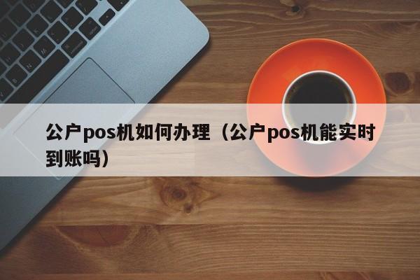 公户pos机如何办理（公户pos机能实时到账吗）