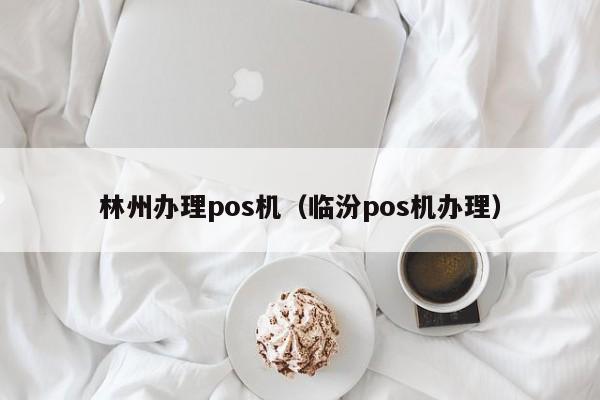 林州办理pos机（临汾pos机办理）
