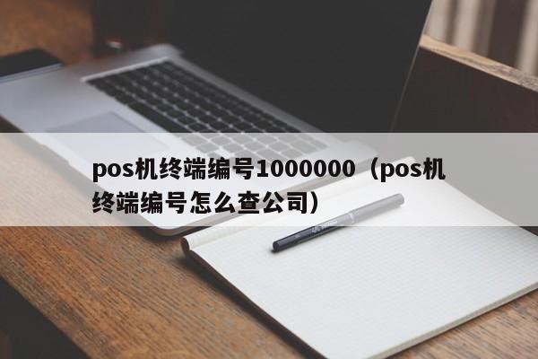 pos机终端编号1000000（pos机终端编号怎么查公司）